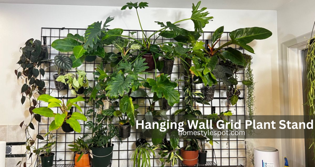 hanging indoor plants