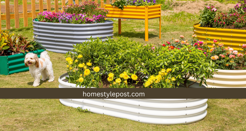 choose colorful planters