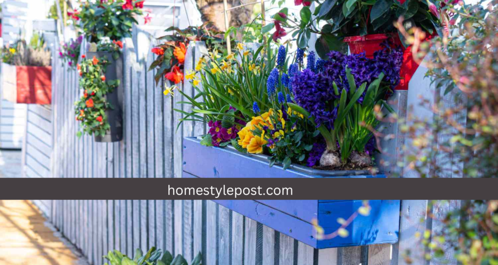 opt for bucket planters